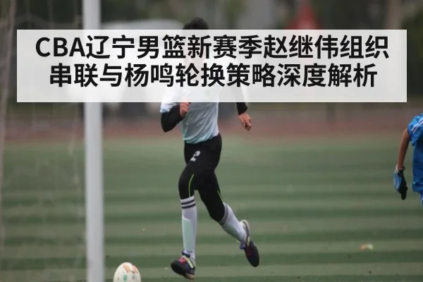 CBA辽宁男篮新赛季赵继伟组织串联与杨鸣轮换策略深度解析